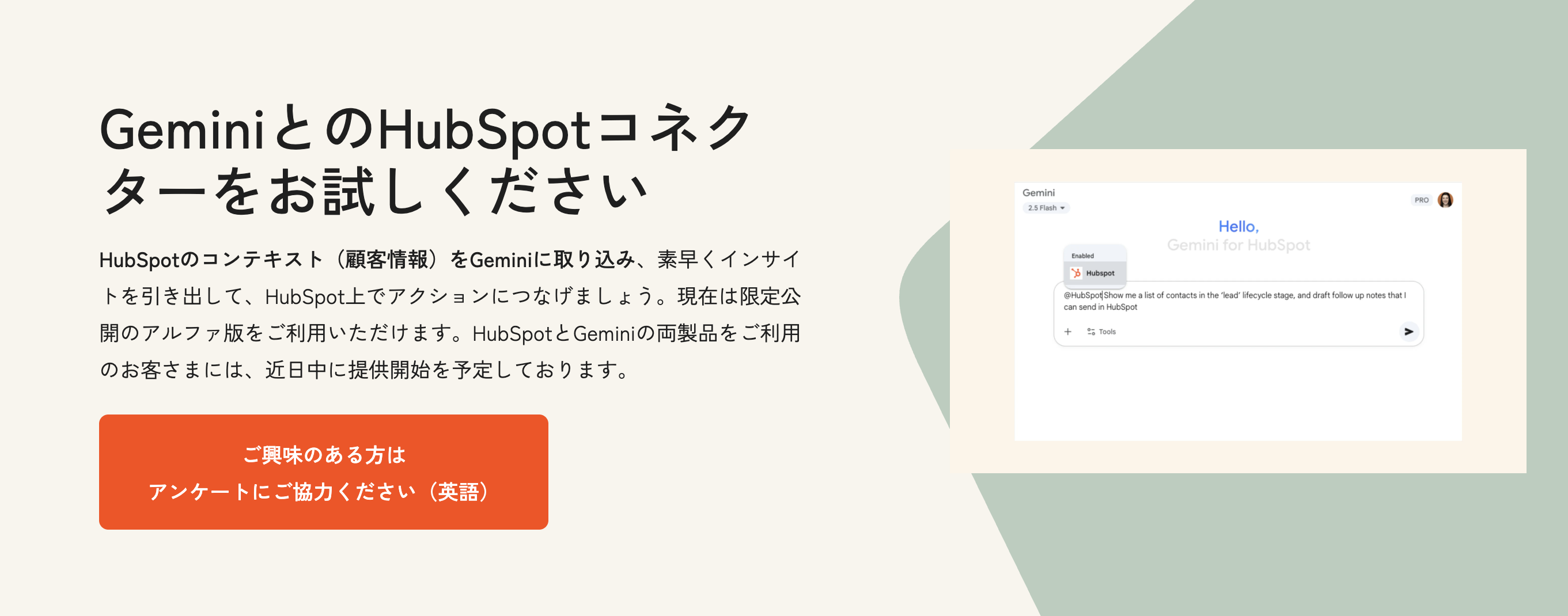 スクリーンショット 2025-12-01 11.35.47